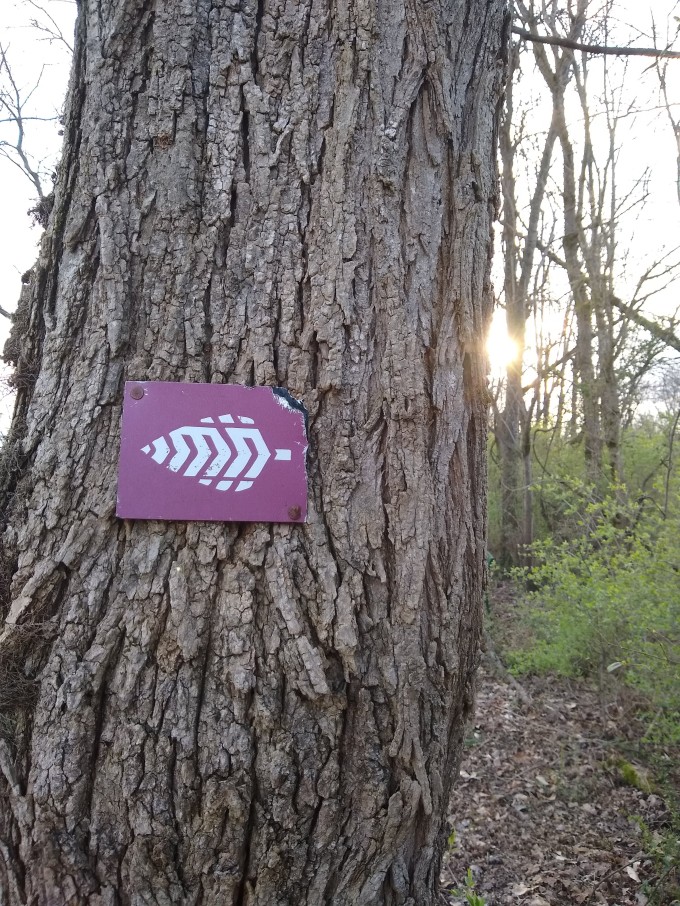 Urban Wilderness sign on tree with sunrise